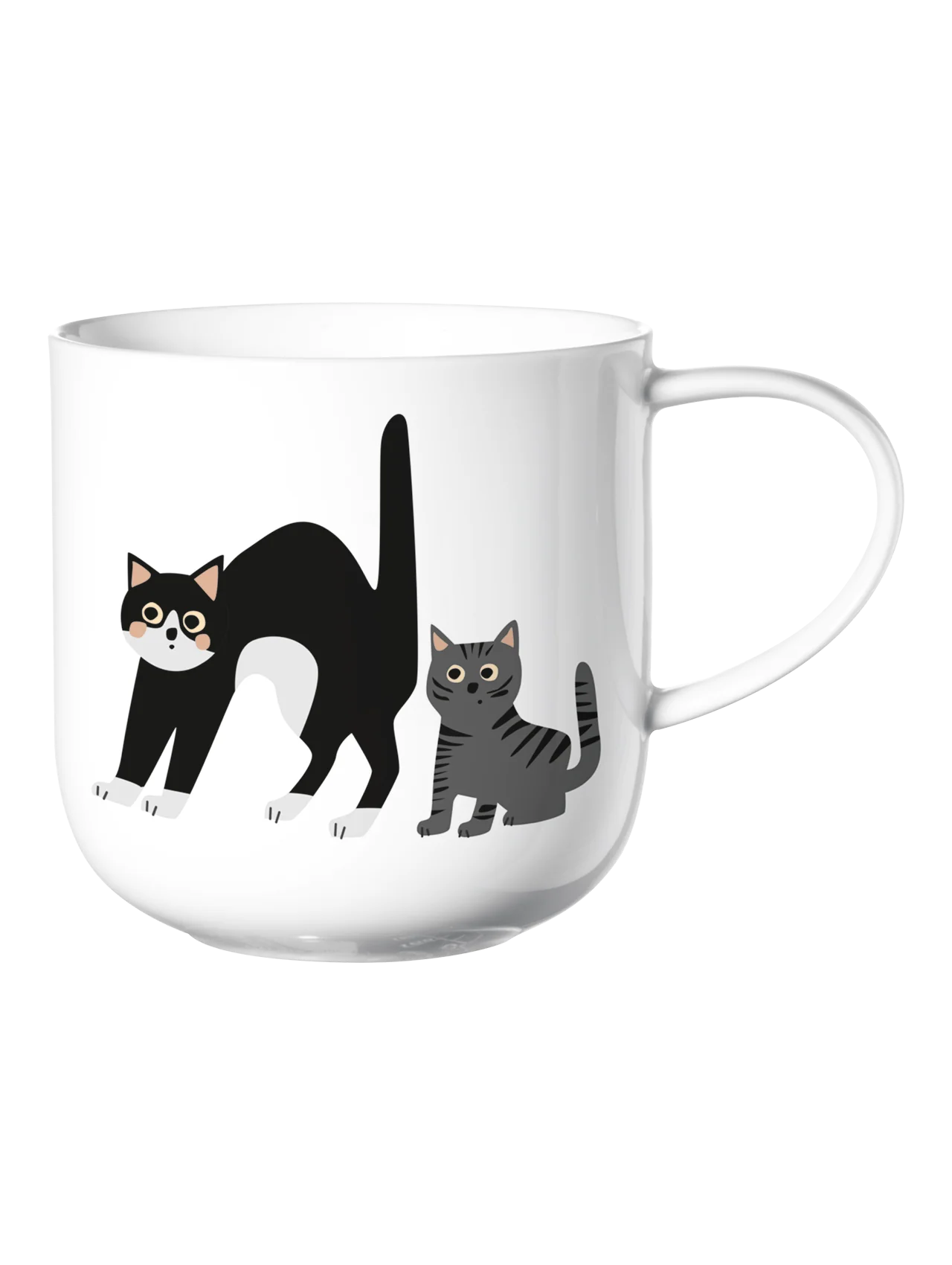 ASA Mok Coppa Surprised Cats