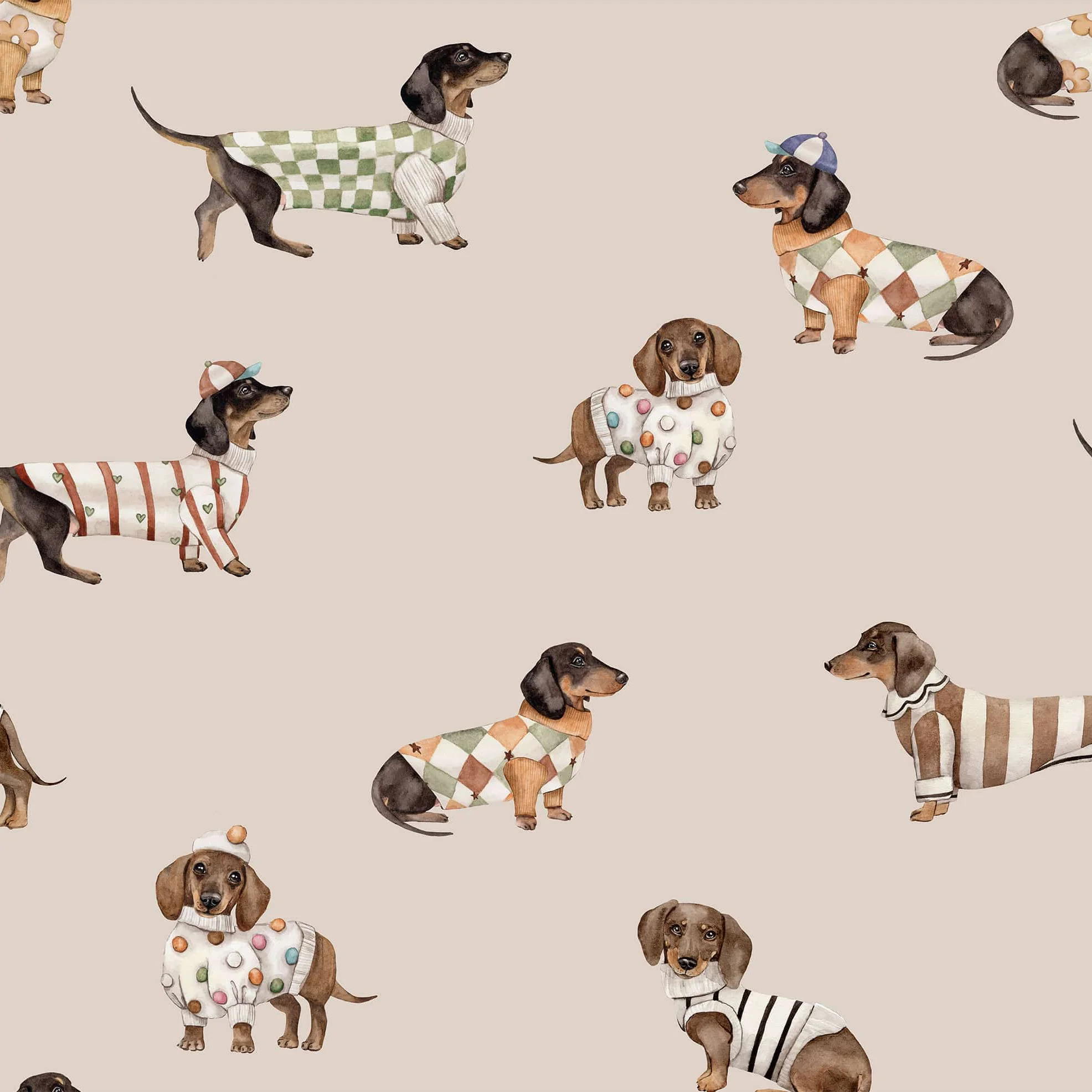 Hondenbehang, teckels – beige