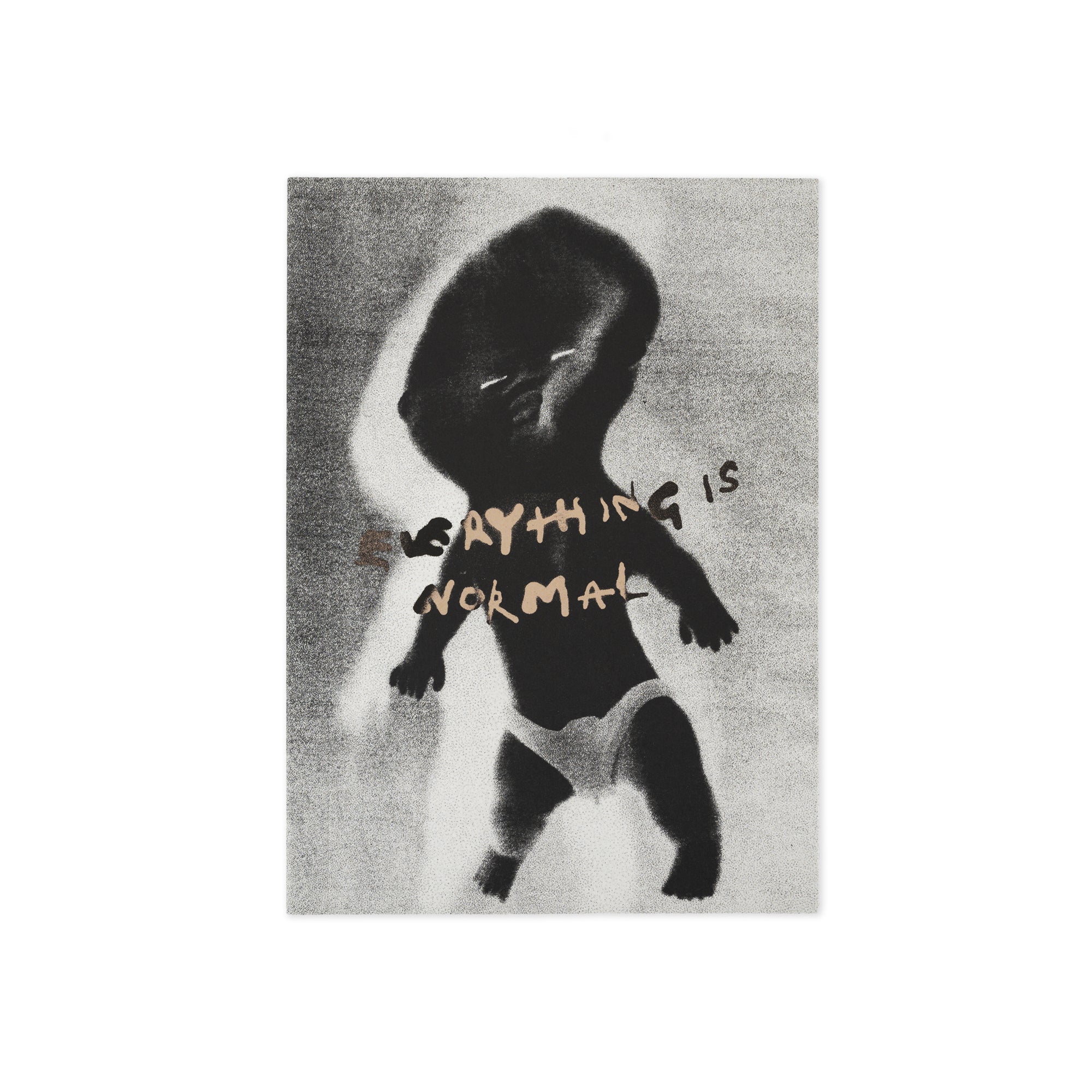 “EVERYTHING IS NORMAL” BOOK