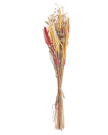 Bouquet de fleurs séchées PAMPELUNA 65 cm Naturel