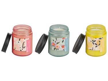Lot de 3 bougies parfumées FRUITY BLOOM Cire de soja Notes florales Notes orientales Notes d'herbes