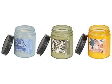 Lot de 3 bougies parfumées FRUITY BLOOM Cire de soja Notes florales Notes de fraîcheur