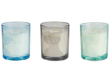 Lot de 3 bougies parfumées SHEER JOY Cire de soja Notes de fraîcheur