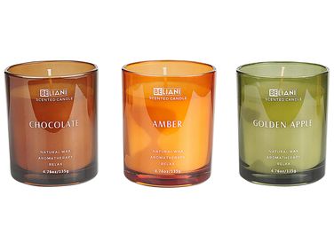Lot de 3 bougies parfumées SHEER JOY Cire de soja Notes fruitées Notes de fraîcheur