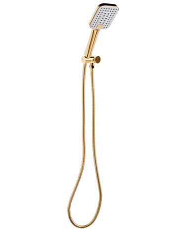 Shower Head and Hose Kit TINGO 4-function Gold