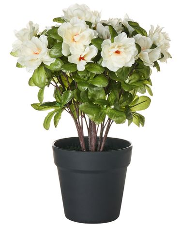 Artificial Plant NOVELLA 36 cm White